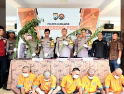 Polres Lumajang Ungkap Kasus Narkoba, Amankan Sabu dan Ladang Ganja