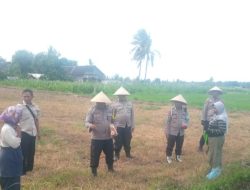 Dalam Rangka Mendukung Ketahanan Pangan, Polsek Cermee Polres Bondowoso Laksanakan Penanaman Jagung
