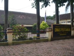 Dispertan Bondowoso Berikan Edukasi dan Sosialisasi Petani Soal Penanganan Panen dan Pascapanen