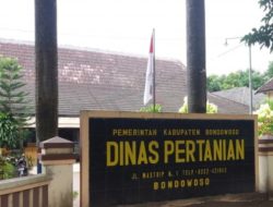 Dinas Pertanian dan Ketahanan Pangan Bondowoso Gulirkan Program Pelatihan Peningkatan Hasil Tembakau