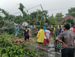Respon Cepat Tim Gabungan Polri dan TNI Evakuasi Pohon Tumbang di Jalur Kumitir