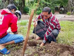 Untuk Sedekah Oksigen, Pengelola Wisata Beach Forest Lakukan Reboisasi & Pengkayaan Tanaman