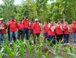 Peduli Lingkungan & Sedekah Oksigen, IIK Perhutani Ranting BKPH Panarukan Gelar Tanam Pohon Bersama