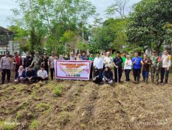 Jum at Berkah,Guna Mendukung Program Presiden Tentang Ketahanan Pangan Polsek Grujugan Polres Bondowoso Tanam Jagung Bersama Instansi Terkait
