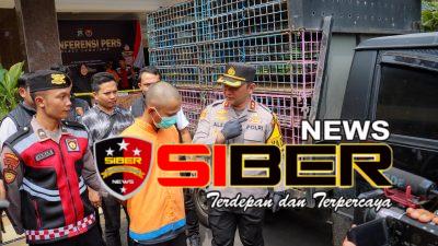 Dua Tersangka Kasus Pencurian Mobil Pickup, Ditangkap Polres Lumajang di Dua Lokasi Berbeda