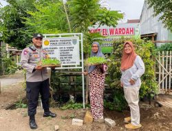 Dampingi KWT Kota Probolinggo, Bhabin Curahgrinting Harapkan Setiap Rumah Memiliki Tanaman Polybag Untuk Ketahanan Pangan
