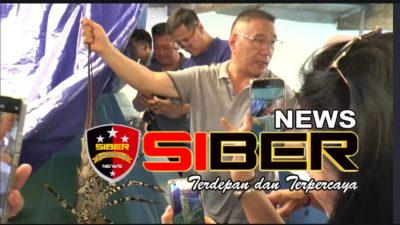 Buyer Lobster dari Negeri Singa Dan Negeri Tirai Bambu Kunjungi Balad Grup