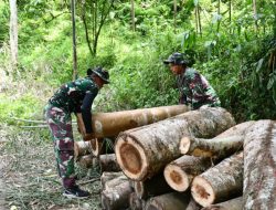 Satgas TMMD 123 Kodim Bondowoso Angkut Kayu Balok