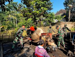 Satgas TMMD ke-123 Dari Marinir TNI AL dan KOPASGAT TNI AU Percepat Pembangunan Musolla di Desa Trotosari