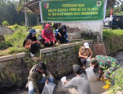 Dinas Perikanan Kolaborasi Dengan Satgas TMMD ke-123 Kodim 0822 Tebar 4.400 Benih Ikan Nila di Desa Trotosari