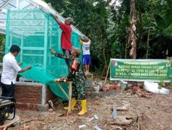 Rumah Pangan Lestari, Wujudkan Ketahanan Pangan TMMD Ke-123 Bondowoso