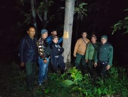 Perum Perhutani KPH Bondowoso, Gelar Patroli Pengamanan Hutan & Sahur Bersama (PAMAN SABAR)