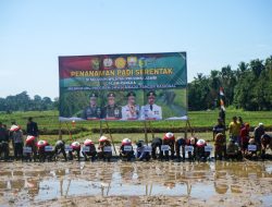 Komitmen Sukseskan Program Swasembada Pangan Nasional, Kodim 0416/Bute Ikuti Penanaman Padi Serentak Se-Provinsi Jambi