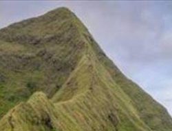 Administratur Perum Perhutani KPH Bondowoso Umumkan Larangan Pendakian Gunung Saeng, Piramid dan Gulgulan