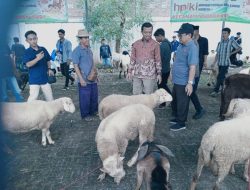 Sambut Idul Adha, Kabupaten Pringsewu Gelar Festival Qurban 2025
