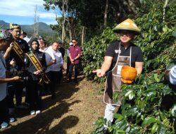 Perkuat Ekonomi Desa Sesuai Asta Cita, Wakil Menteri BUMN Tinjau Program Kemitraan Kopi Perhutani di Bondowoso