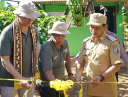Program Cocoa Life, Mondelez International & OFI Launching Kebun Percontohan CASDI Di Kabupaten Pringsewu