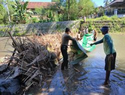 ‎Polsek Klabang Polres Bondowoso Bersama Tiga Pilar, Laksanakan Kerjabakti Pemasangan Bendungan Tradisional Normalisasi Saluran Irigasi Desa Leprak