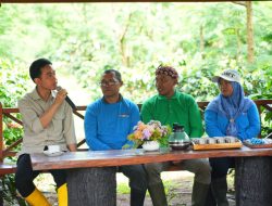 Angkat Potensi Kopi Indonesia, Wapres Gibran Kunjungi PMO Kopi Perhutani di Bondowoso