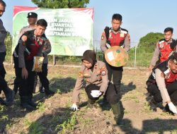 Polres Situbondo Tanam Jagung Serentak Dukung Program Swasembada Pangan 2025