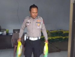 Polsek Maesan Polres Bondowoso Jual Beras Murah Untuk Masyarakat