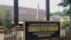 Dinas Pertanian Bondowoso Genjot Kualitas Tembakau dengan Suntikan DBHCHT Rp8,5 Miliar