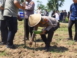 Polres Bondowoso Bersinergi Dengan Pemkab Bondowoso Mendukung Program Ketahanan Pangan