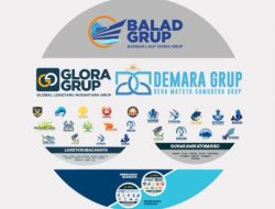 BALAD GRUP Usulkan Presiden RI Hentikan Ekspor Benih Bening Lobster, Ganti Ekspor Lobster 50 Gram