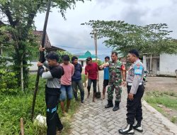 Kerja Tulus di Hari Libur, Babinsa Tapen Dukung Pembangunan Infrastruktur Listrik Desa