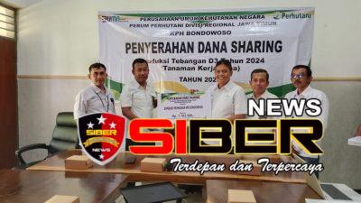 Perhutani KPH Bondowoso Implementasikan Kemitraan Berkelanjutan melalui Pembagian Hasil Tebangan Sengon Dan Jabon