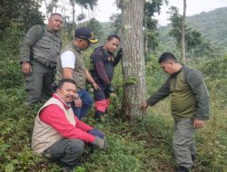 Perhutani KPH Bondowoso Laporkan Dugaan Pengrusakan Tegakan Hutan di Petak 6A3 ke Polres Situbondo