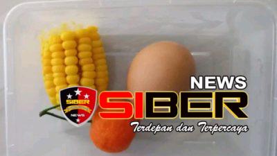 Miris Menu MBG Di Kec Tlogosari Bondowoso Di Kecam Netizen