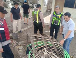 Polresta Sidoarjo Bongkar Dua Arena Sabung Ayam di Lokasi Berbeda