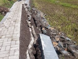 Miris,Baru Seumur Jagung Proyek Pembangunan Jalan Usaha Tani Milik Desa Wonoboyo Klabang Bondowoso Ambruk,Kades Setempat Bungkam Saat Dikonfirmasi