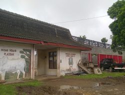 Tanggapan Kades Buluharjo Soal Lokasi KDKMP, Pasar Hewan Jadi Opsi Terahir Demi Pemerataan Ekonomi 