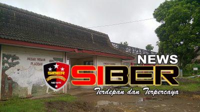 Tanggapan Kades Buluharjo Soal Lokasi KDKMP, Pasar Hewan Jadi Opsi Terahir Demi Pemerataan Ekonomi 