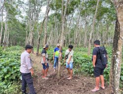 Jejak Sindikat Pencuri Sapi Terkuak di Glenmore: Polisi Tangkap Pelaku dan Penadah, Jaringan Masih Diburu