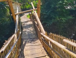 Warga Desa Jumpong Bondowoso Keluhkan Jembatan Rusak Hampir 3 Tahun, Harus Lewat Jalan Bambu Berisiko