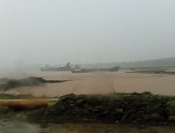 Diduga Teluk Buli Tercemar, API Minta Pemerintah Cabut Izin PT Feni