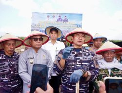 TNI AL dan Pemkab Banyuwangi Garap 1.200 Hektare Kedelai, Buka Peluang Peningkatan Pendapatan Ribuan Petani