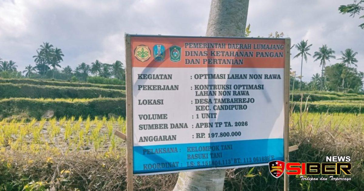 Program Optimalisasi Lahan Non Rawa, Kelompok Tani ” Basuki Tani ” Kerjakan Drainase Sesuai Arahan