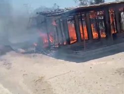 Rumah Warga Desa Lanas Botolinggo Hangus Tak Tersisa Akibat Amukan Si Jago Merah