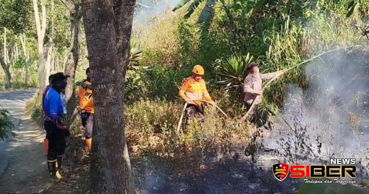 Sinergi Polres Bondowoso dan Tim Gabungan Padamkan Karhutla di Kawasan Wisata Black Lava Ijen
