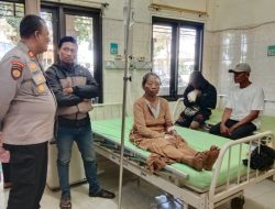 Cari Rumput untuk Ternak, Nenek 80 Tahun di Situbondo Tertembak Peluru Nyasar