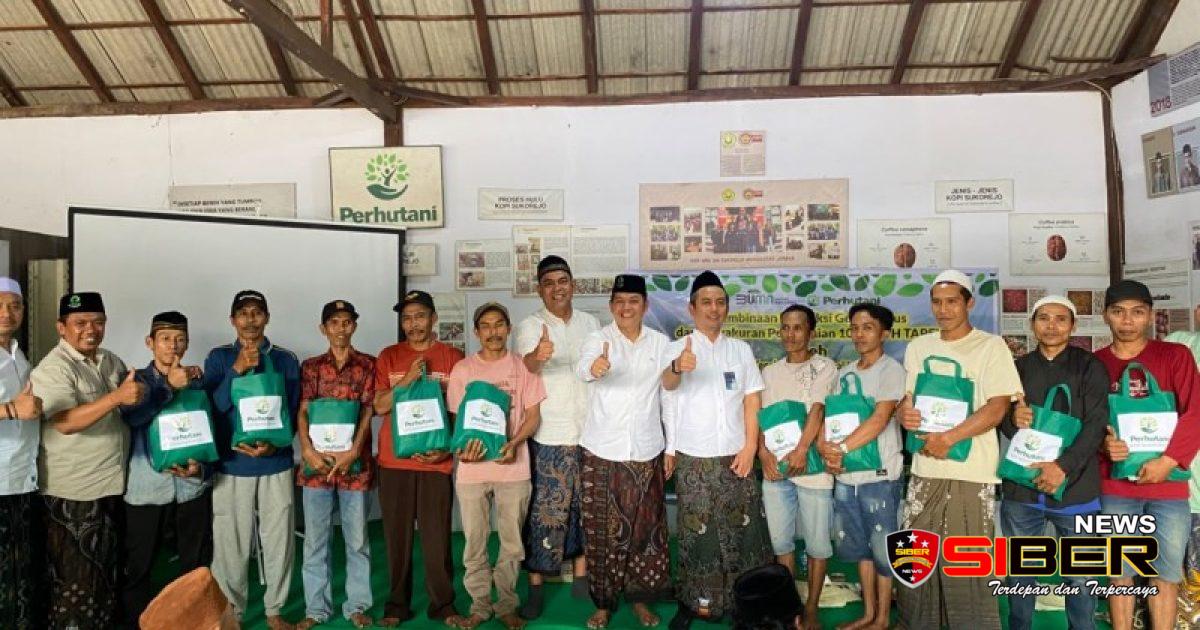 Perhutani KPH Bondowoso Cetak Sejarah: Produksi Getah Pinus 100 Persen, Petani Penyadap Diguyur Sembako dan Hadiah