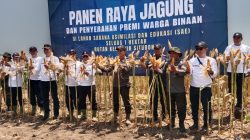 Rutan Situbondo Sukses Panen Raya 10 Ton Jagung Kolaborasi dengan Perhutani: Warga Binaan Dapat Premi dan Tabungan