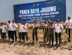 Rutan Situbondo Sukses Panen Raya 10 Ton Jagung Kolaborasi dengan Perhutani: Warga Binaan Dapat Premi dan Tabungan